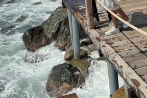 Phu Quoc 4 Islands Snorkeling Tour med Cable Car SeaWalking