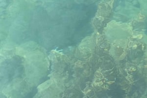 Phu Quoc 4 Islands Snorkeling Tour med Cable Car SeaWalking