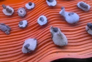 Phu Quoc 4 Islands Snorkeling Tour med Cable Car SeaWalking