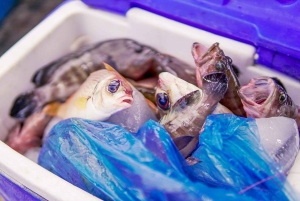 フーコックフーコック島1日シュノーケリングアドベンチャー