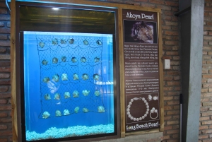 フーコックフーコック島1日シュノーケリングアドベンチャー