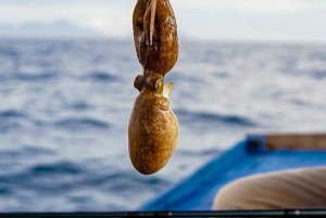 フーコックフーコック島1日シュノーケリングアドベンチャー