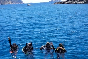 Phu Quoc: Guided Fun Dives and Lunch for Certified Divers