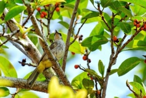 Phu Quoc HIKING tur: Nationalpark - Fiskeby