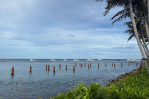 Phu Quoc Hon Thom-linbanan, Symphony och Kiss Of The Sea Show