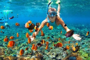 Phu Quoc: eilandhoppen en kabelbaanrit met lunch