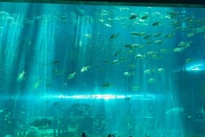 ニャチャン・ヴィンパール・ヴィンワンダー・セルフガイドツアー（送迎付き）