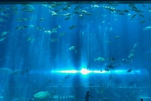 ニャチャン・ヴィンパール・ヴィンワンダー・セルフガイドツアー（送迎付き）