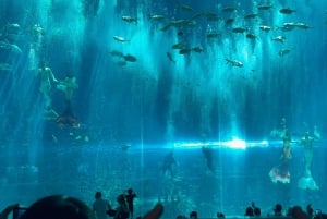 ニャチャン・ヴィンパール・ヴィンワンダー・セルフガイドツアー（送迎付き）