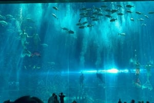 ニャチャン・ヴィンパール・ヴィンワンダー・セルフガイドツアー（送迎付き）