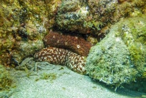 Phu Quoc Island: Scuba Diving In the South