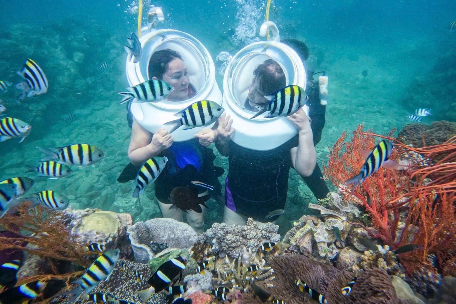Tour de snorkel por las islas de Phu Quoc con teleférico y parque acuático