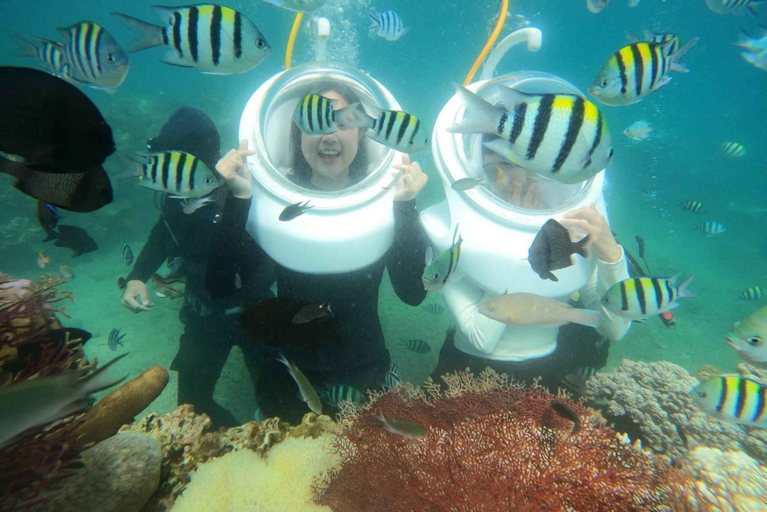 Tour de snorkel por las islas de Phu Quoc con teleférico y parque acuático