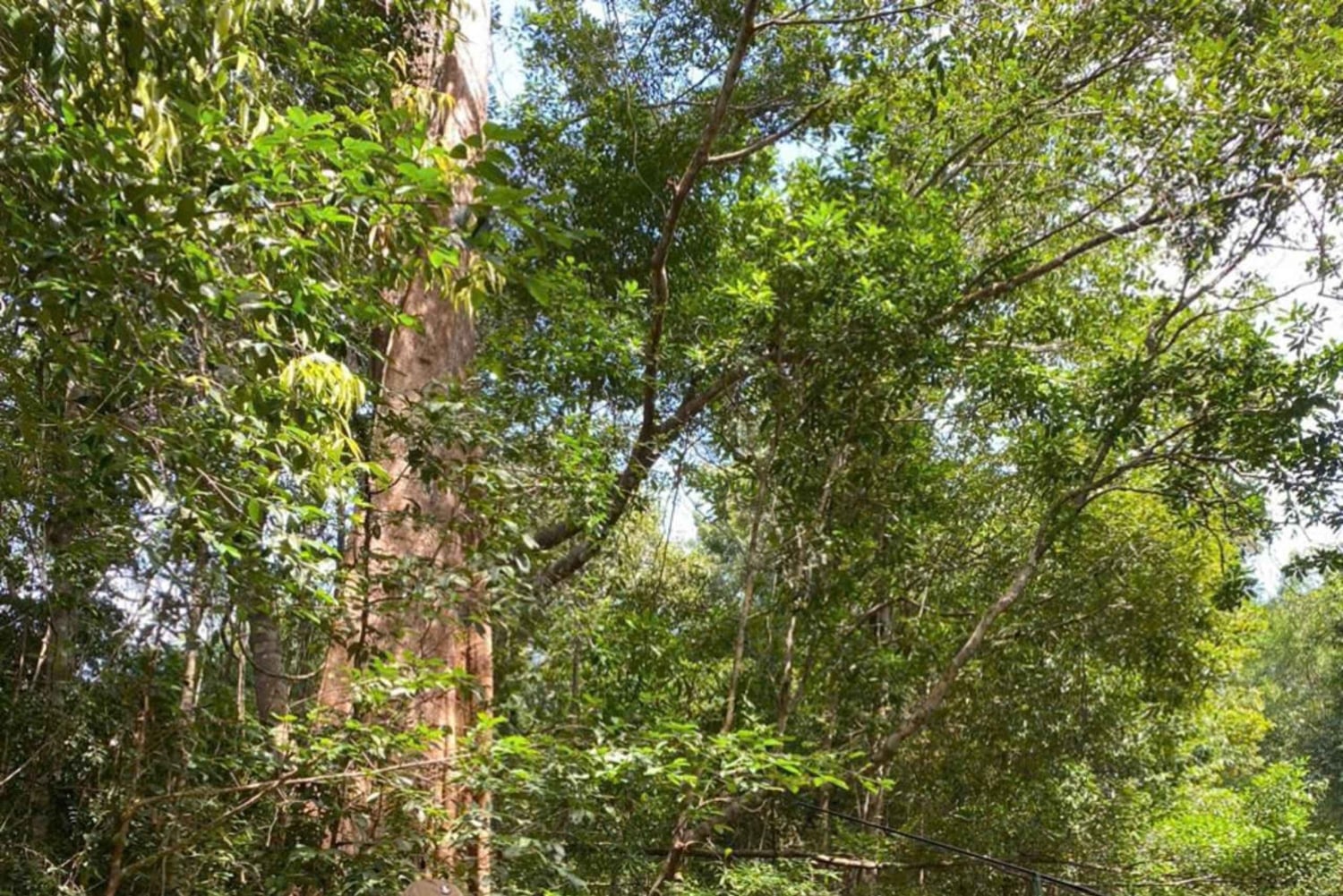 Jeep-tur i Phu Quoc: nationalpark och Rach Vem Village