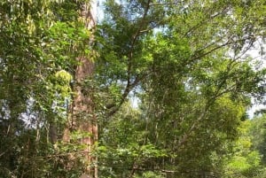 Jeep-tur i Phu Quoc: nationalpark och Rach Vem Village