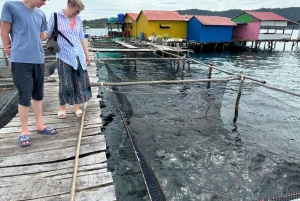 Jeep-tur i Phu Quoc: nationalpark och Rach Vem Village