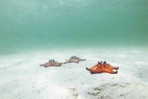 Land 2 Phu Quoc: Kayaking and Starfish Beach Tour (No Lunch)
