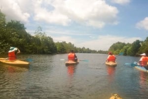 Land 2 Phu Quoc: Kayaking and Starfish Beach Tour (No Lunch)