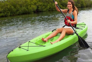 Land 2 Phu Quoc: Kayaking and Starfish Beach Tour (No Lunch)