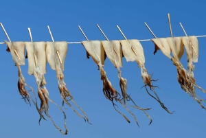 Phu Quoc nattupplevelse med bläckfiskfiske