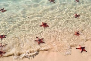 Phu Quoc: landbasert sightseeingtur på nordøya