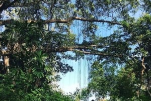 Phu Quoc: landbasert sightseeingtur på nordøya