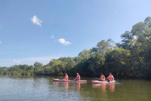 Phu Quoc: landbasert sightseeingtur på nordøya