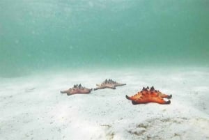 Phu Quoc Norte: Kayak, Playa de las Estrellas de Mar y Tesoros Ocultos