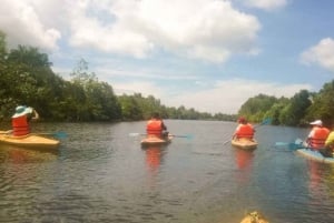 Phu Quoc Norte: Kayak, Playa de las Estrellas de Mar y Tesoros Ocultos