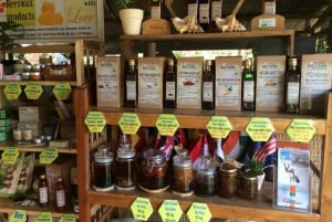 Phu Quoc: Northern Wonders & Starfish Beach – Half-Day Tour