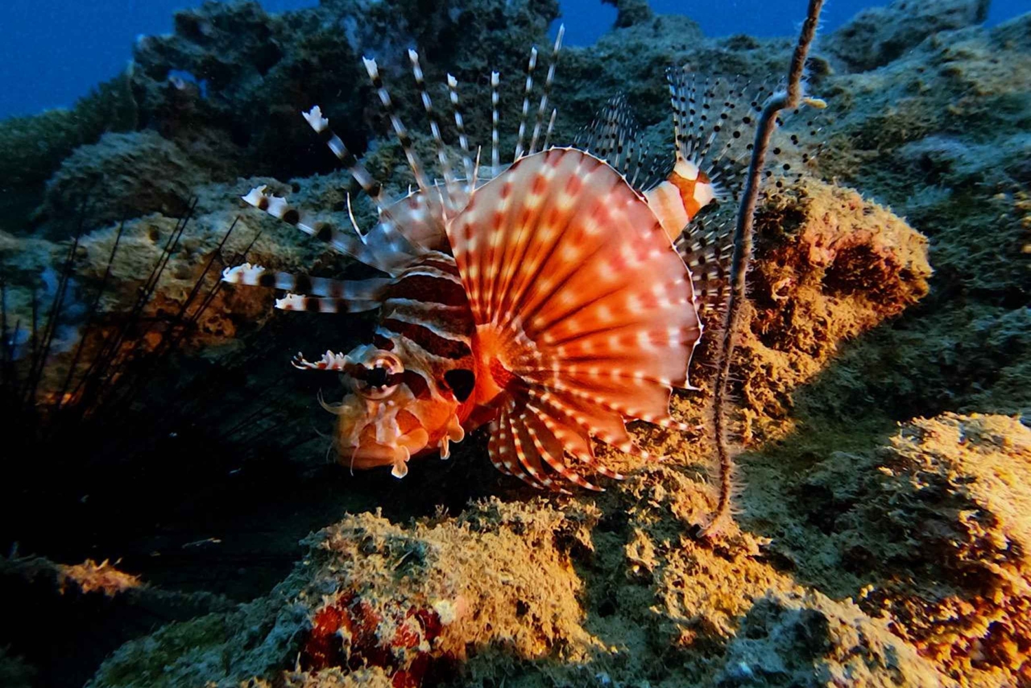 Phu Quoc: PADI Open Water Diver Course