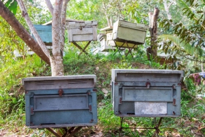 Phu Quoc: Pearl Farm, Coconut Prison, and Bai Sao Beach Tour