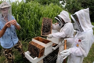 Фукуок: экскурсия по перцовой и медовой ферме с дегустацией