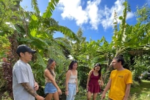 Фукуок: экскурсия по перцовой и медовой ферме с дегустацией