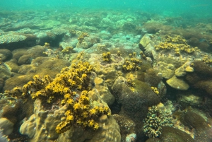 Phú Quốc: tour privato in motoscafo di 3 isole con pranzo