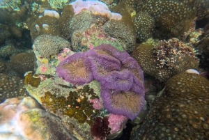 Phú Quốc: tour privato in motoscafo di 3 isole con pranzo