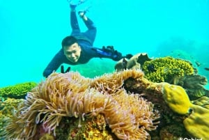 Phu Quoc: Pro Snorkeling to 3 Coral Reefs & Beach (MAX 12)