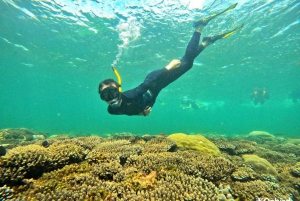 Phu Quoc: rejs wycieczkowy 4 wyspy - 2 rafy - nurkowanie z rurką