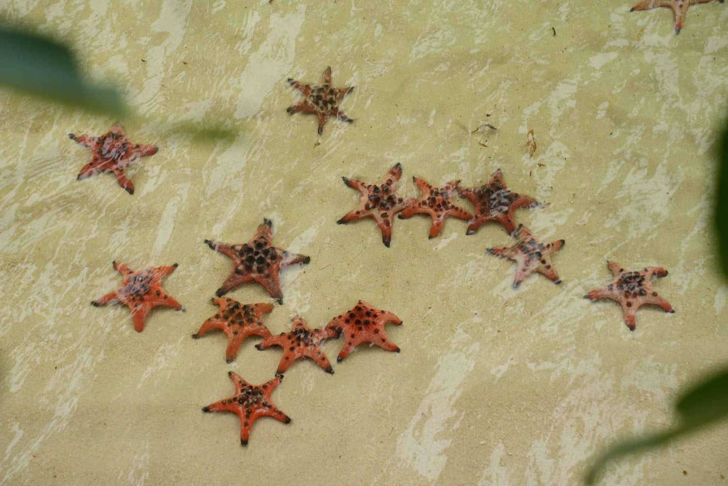 Phu Quoc: Rach Vem Starfish Kingdom & Cooking Experience