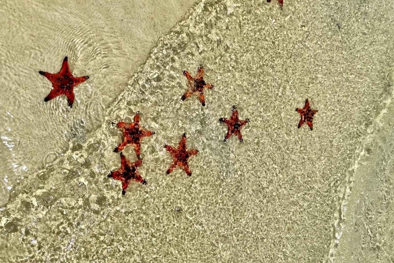 Phu Quoc: Rach Vem Starfish Kingdom & Cooking Experience