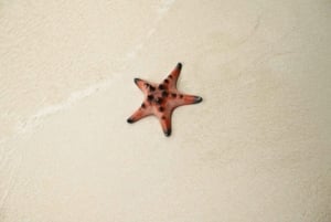Phu Quoc: Rach Vem Starfish Kingdom & Cooking Experience