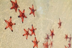 Phu Quoc: Rach Vem Starfish Kingdom & Cooking Experience