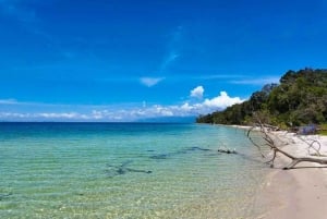 Phu Quoc: Rach Vem Starfish Kingdom & Cooking Experience