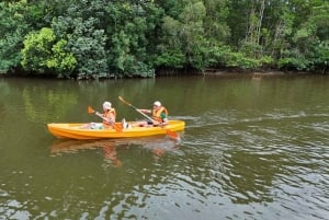 Phu Quoc: Rach Vem Starfish Kingdom & Cooking Experience