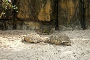 Phu Quoc: Safari, Grand World, Quintessence of Tonkin Tour