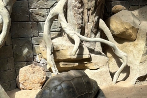 Phu Quoc: Safari, Grand World, Quintessence of Tonkin Tour