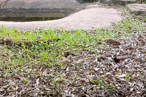 Phu Quoc: Safari, Grand World, Quintessence of Tonkin Tour