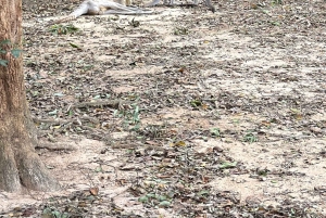 Phu Quoc: Safari, Grand World, Quintessence of Tonkin Tour