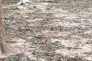 Phu Quoc: Safari, Grand World, Quintessence of Tonkin Tour