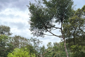 Phu Quoc: Safari, Grand World, Quintessence of Tonkin Tour